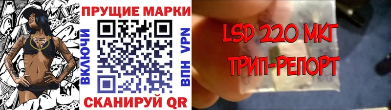 мега ТОР  продажа наркотиков  Нестеровская  Наркотические марки 1,8мг 