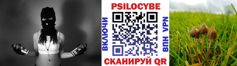 darknet формула  даркнет сайт  Нестеровская  Псилоцибиновые грибы Magic Shrooms 